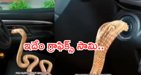 Tv Serial : కారు నడిపిన పాము.. ఆ లాజిక్ ఎలా మరిచారో.. టీఆర్పీ కోసం ఇంతకి తెగిస్తారా?