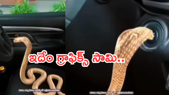 Tv Serial : కారు నడిపిన పాము.. ఆ లాజిక్ ఎలా మరిచారో.. టీఆర్పీ కోసం ఇంతకి తెగిస్తారా?