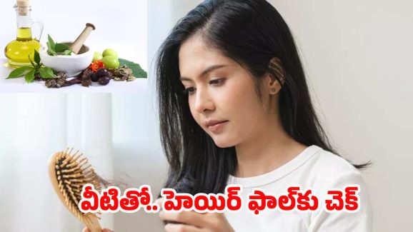 Tips To Prevent Hair Fall: ఇవి వాడితే.. జుట్టు ఊడమన్నా ఊడదు !
