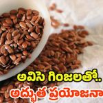 Flax Seeds: అవిసె గింజలతో.. అద్భుత ప్రయోజనాలు !