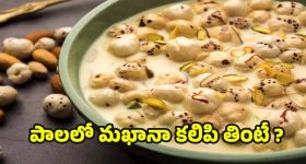 Ayesha Khan : షూటింగ్ లో స్పృహ కోల్పోయిన 'ఓం భీమ్ బుష్' బ్యూటీ ... ఆమె హెల్త్ ఇప్పుడెలా ఉందంటే..?