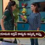 Brahmamudi Serial Today March 25th: ‘బ్రహ్మముడి’ సీరియల్: యామిని అడ్రస్‌ తెలుసుకున్న అప్పు – కావ్యను కట్టడి చేసేందుకు రుద్రాణి ప్లాన్‌