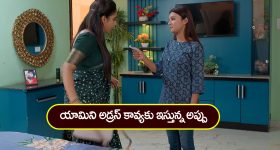 Brahmamudi Serial Today March 25th: ‘బ్రహ్మముడి’ సీరియల్: యామిని అడ్రస్‌ తెలుసుకున్న అప్పు – కావ్యను కట్టడి చేసేందుకు రుద్రాణి ప్లాన్‌