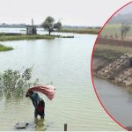 Kamareddy News: ఉగాది వేళ తీవ్ర విషాదం.. ఒకే ఇంట్లో నలుగురు మృతి
