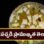 Ugadi Pachadi Shadruchulu: ఉగాది పచ్చడి ప్రాముఖ్యత తెలుసా..? షడ్రుచుల సమ్మేళనం దేనికి సంకేతమంటే..?