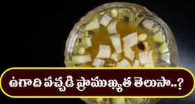 Ugadi Pachadi Shadruchulu: ఉగాది పచ్చడి ప్రాముఖ్యత తెలుసా..? షడ్రుచుల సమ్మేళనం దేనికి సంకేతమంటే..?