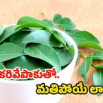 Curry Leaves: కరివేపాకు తింటే.. ఇన్ని లాభాలా ?