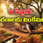 Mystery News: 40 రోజులు.. 14 మరణాలు.. తెలంగాణలోని ఆ గ్రామంలో ఏం జరుగుతోంది?