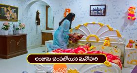 Himani Narwal Murder case: కాంగ్రెస్ కార్యకర్త హిమాని హత్య కేసు.. సీసీటీవీలో కీలక దృశ్యాలు