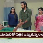 Brahmamudi Serial Today March 29th: ‘బ్రహ్మముడి’ సీరియల్: రాజ్‌ను చూసిన అప్పు – పెళ్లికి ఒప్పుకున్న రాజ్‌  