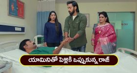 Brahmamudi Serial Today March 29th: ‘బ్రహ్మముడి’ సీరియల్: రాజ్‌ను చూసిన అప్పు – పెళ్లికి ఒప్పుకున్న రాజ్‌  