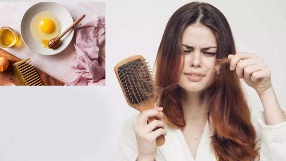 Egg Hair Mask: ఇది ఒక్కసారి వాడినా చాలు.. హెయిర్ ఫాల్‌ కంట్రోల్ !