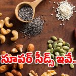 Healthy Seeds: ఈ సూపర్ సీడ్స్ తింటే.. వ్యాధులు రమ్మన్నా రావు