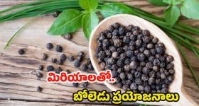 Scenic Train Rides US: అమెరికాలో అద్భుతమైన రైలు ప్రయాణాలు, అస్సలు మిస్ కాకండి!