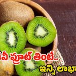 Kiwi Benefits: కివీ ఫ్రూట్ తింటే.. ఈ ఆరోగ్య సమస్యలన్నీ పరార్ !