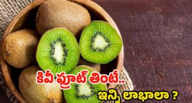 Kiwi Benefits: కివీ ఫ్రూట్ తింటే.. ఈ ఆరోగ్య సమస్యలన్నీ పరార్ !