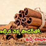 Cinnamon Powder: దాల్చిన చెక్క పౌడర్‌తో షుగర్ కంట్రోల్, కొలెస్ట్రాల్‌కు చెక్ !