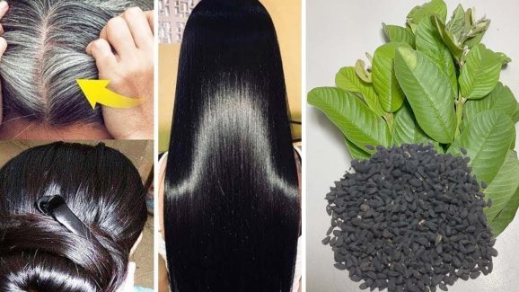 Guava Leaves For Hair: జామ ఆకులను ఇలా వాడితే.. జన్మలో జుట్టు రాలదు !