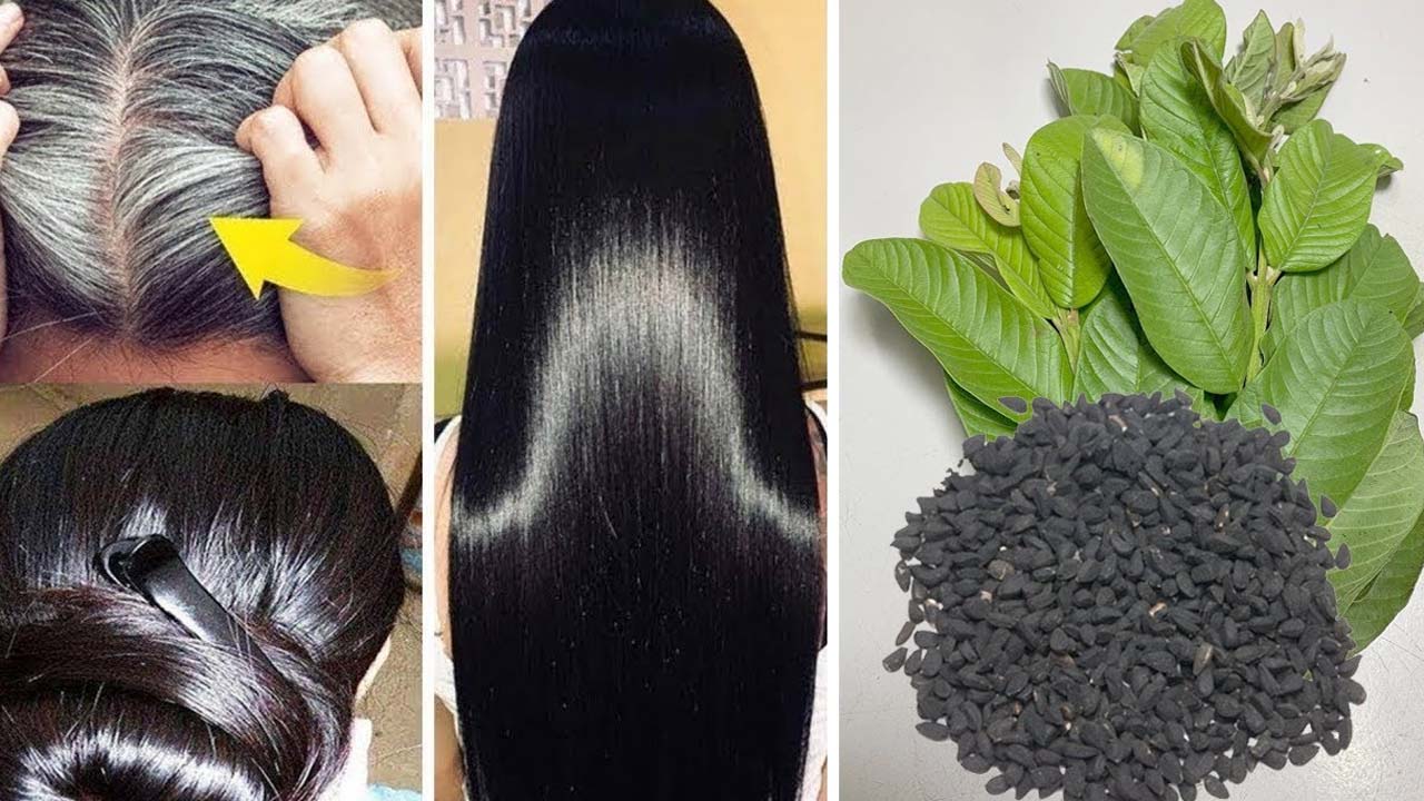 Guava Leaves For Hair: జామ ఆకులను ఇలా వాడితే.. జన్మలో జుట్టు రాలదు !