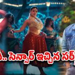 Robin hood: అది దా సర్ప్రైజ్ హుక్ స్టెప్‌పై సెన్సార్ రియాక్షన్… శేఖర్ మాస్టర్ కష్టం వృథా..?