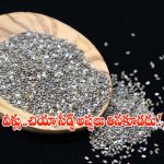 Chia Seeds: వీళ్లు చియా సీడ్స్ అస్సలు తినకూడదు !