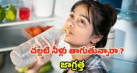 Cold Water: ఎండాకాలంలో చల్లటి ఫ్రిజ్‌లోని.. నీళ్లు తాగుతున్నారా ? జాగ్రత