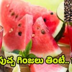Watermelon Seeds: పుచ్చగింజలు తింటే.. ఆశ్చర్యకర లాభాలు !