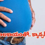 Belly Fat  In Men: అధిక బరువు ఉన్న వారికి క్యాన్సర్ ! పరిశోధనల్లో షాకింగ్ నిజాలు