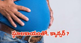 Belly Fat  In Men: అధిక బరువు ఉన్న వారికి క్యాన్సర్ ! పరిశోధనల్లో షాకింగ్ నిజాలు