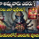 varahi ammavaru: వారాహి అమ్మవారి పుట్టుక గురించి తెలుసా..? అసలు ఆమెకున్న శక్తులేంటో తెలుసా..?
