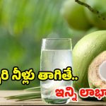 Coconut Water: కొబ్బరి నీళ్లు తాగితే.. ఈ వ్యాధులు రమ్మన్నా రావు !