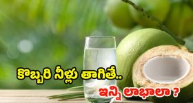 Coconut Water: కొబ్బరి నీళ్లు తాగితే.. ఈ వ్యాధులు రమ్మన్నా రావు !