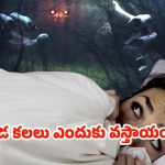 Scary Dreams: పీడ కలలు వస్తున్నాయా ? కారణాలివే.. !