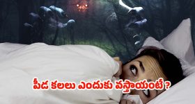 BCCI: రోహిత్‌పై బాడీ షేమింగ్ కామెంట్స్..  కాంగ్రెస్ పై BCCI యాక్షన్?