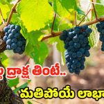 Black Grapes: నల్ల ద్రాక్ష తింటే.. మతిపోయే లాభాలు !