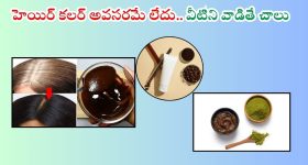 Hair Dye For White Hair: ఇంట్లోనే ఇలా నేచురల్ హెయిర్ కలర్స్ తయారు చేసుకుని వాడితే.. తెల్ల జుట్టు మాయం
