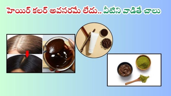 Hair Dye For White Hair: ఇంట్లోనే ఇలా నేచురల్ హెయిర్ కలర్స్ తయారు చేసుకుని వాడితే.. తెల్ల జుట్టు మాయం