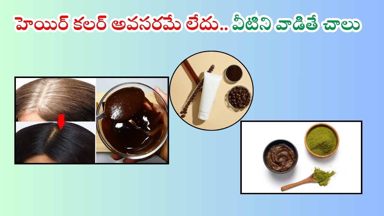 Hair Dye For White Hair: ఇంట్లోనే ఇలా నేచురల్ హెయిర్ కలర్స్ తయారు చేసుకుని వాడితే.. తెల్ల జుట్టు మాయం
