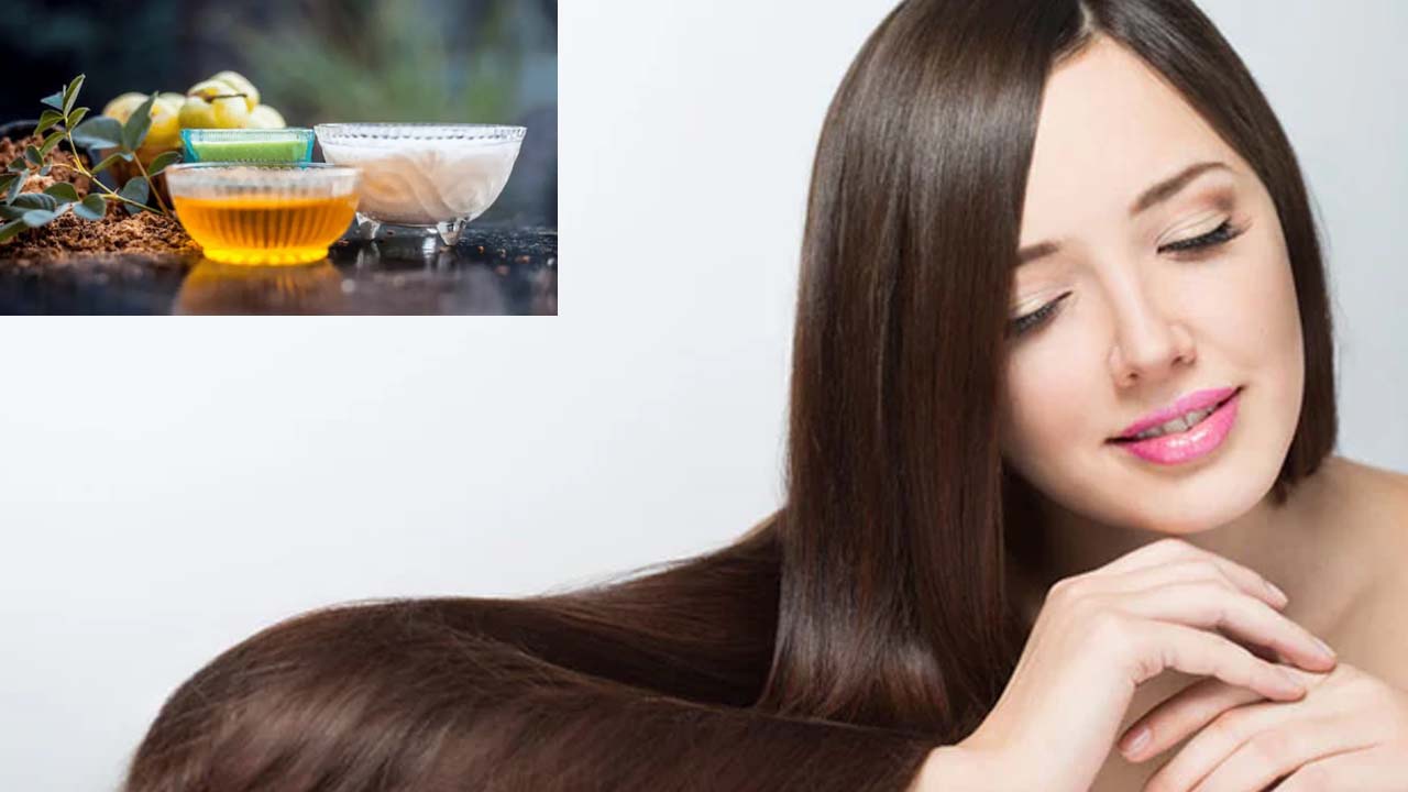 Long Hair: జుట్టు రాలడం తగ్గి, ఒత్తుగా పెరగాలంటే.. వీటిని తప్పకుండా వాడాల్సిందే !