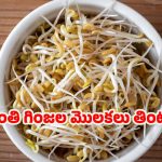 Methi Sprouts: మెంతి గింజల మొలకలు తింటే.. ఈ ఆరోగ్య సమస్యలు పరార్ !