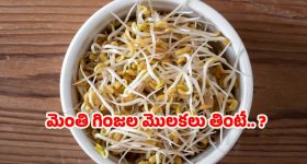 Tollywood: మరో బిడ్డకు జన్మనిచ్చిన రామ్ చరణ్ హీరోయిన్.. పేరు కూడా పెట్టేశారండోయ్..