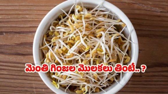 Methi Sprouts: మెంతి గింజల మొలకలు తింటే.. ఈ ఆరోగ్య సమస్యలు పరార్ !