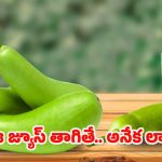 Bottle Gourd Juice: సమ్మర్‌లో ఈ జ్యూస్ తాగితే.. మతిపోయే లాభాలు !