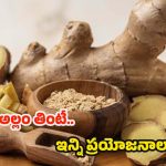 Ginger Benefits: అల్లం తింటే.. శరీరంలో జరిగే మ్యాజిక్ ఇదే !