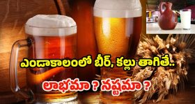 Drinking Beer in Summer: ఎండాకాలంలో కల్లు, బీర్ తాగితే.. లాభమా ? నష్టమా ?
