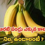 Banana Storage Tips: అరటి పండ్లు త్వరగా.. పాడవకుండా ఉండాలంటే ?