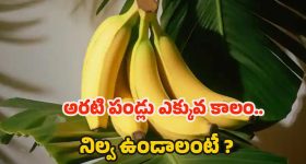 Banana Storage Tips: అరటి పండ్లు త్వరగా.. పాడవకుండా ఉండాలంటే ?