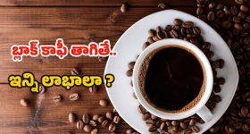 Karnataka Minority Reservation: కర్ణాటకలో ముస్లింలకు 4 శాతం రిజర్వేషన్ రాహుల్ గాంధీ కుట్రే.. బిజేపీ విమర్శలు