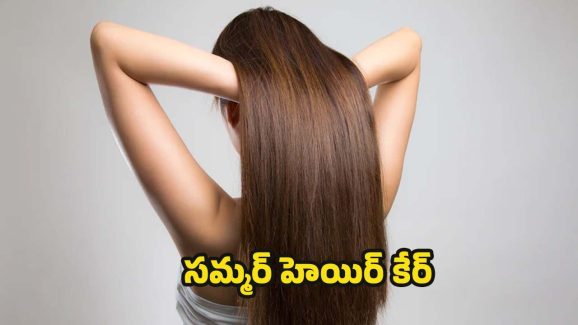 Summer Hair Care: ఎండాకాలంలో జుట్టు రాలకుండా ఉండాలంటే.. వీటిని వాడాల్సిందే !