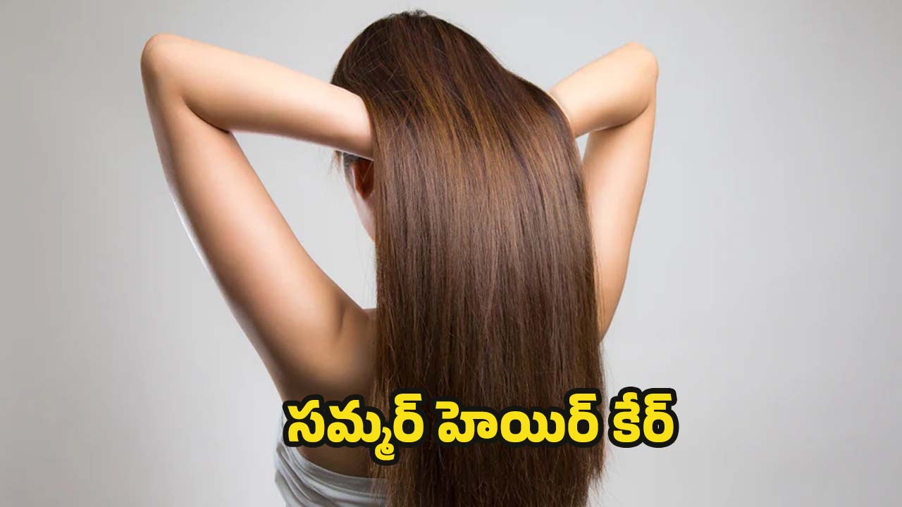 Summer Hair Care: ఎండాకాలంలో జుట్టు రాలకుండా ఉండాలంటే.. వీటిని వాడాల్సిందే !